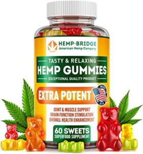 HEMPBRIDGE Hemp Gummies – Made in United states of america – Harmless and Organic Omega 3 Nutritional supplement with Hemp Oil for Discomfort and Irritation Relief – Max Price in Each Gummy – Nutritional vitamins B & E and Omega 3, 6, 9-60 Pcs